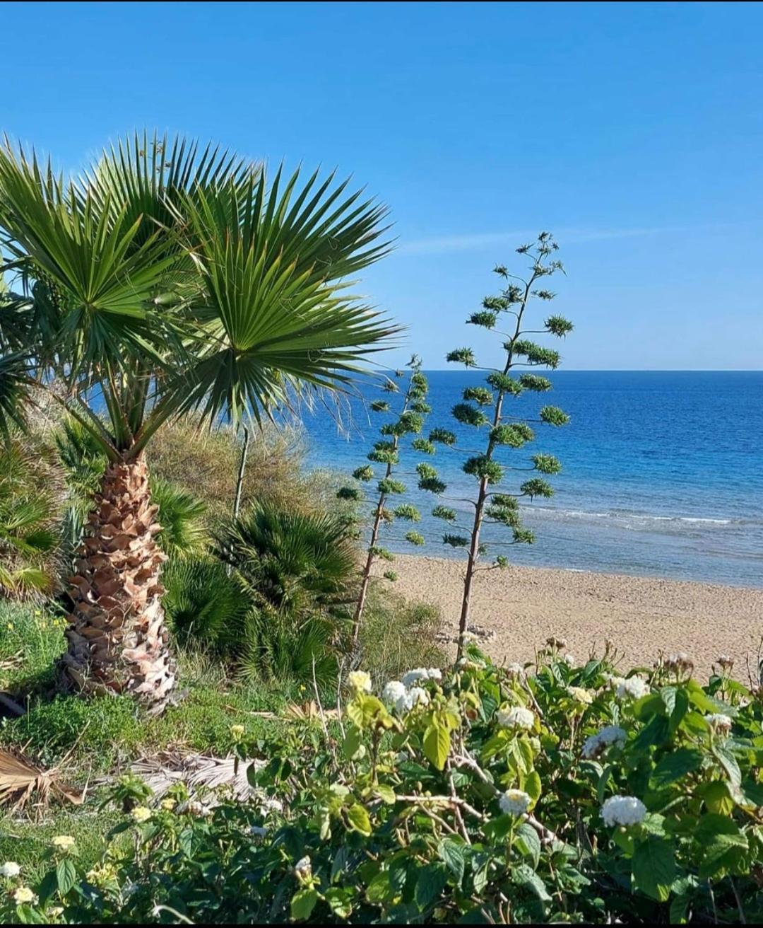 Villa Sul Mare Don Toto' Avola Kültér fotó
